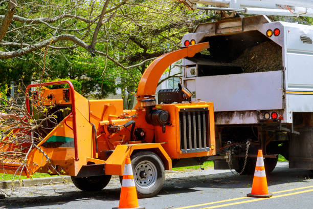 Best Mulching Services  in Amity, OR